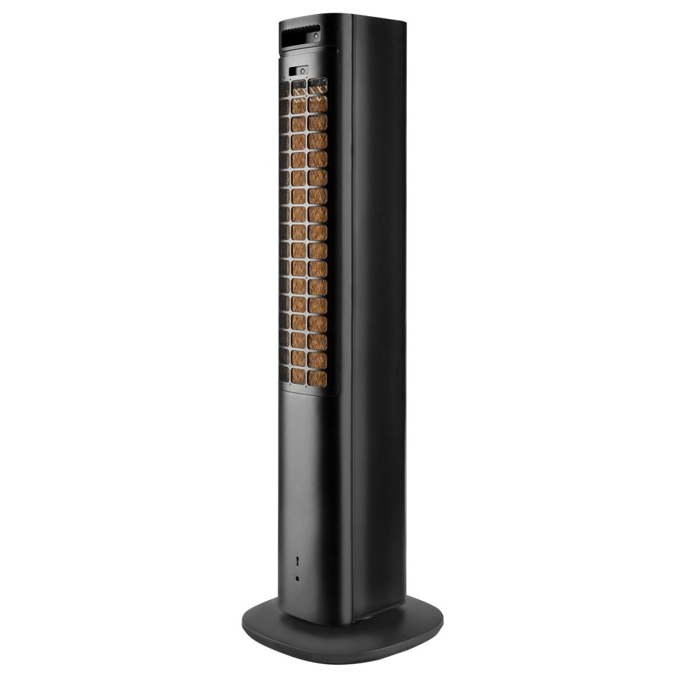 Воздухоохладитель Ballu RISE BCOOL-04L RI Black — изображение 5